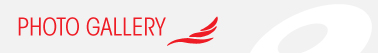 Corporate Profile